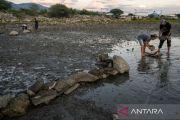 Pembuatan dam penangkap sedimen mangrove