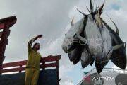 Indonesia earns 25-percent increase in southern bluefin tuna quota