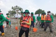 PTKPI berjuang tanam mangrove kado HUT RI
