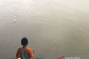 Anak-anak nekad bermain di sekitar Sungai Palu yang diketahui banyak buayanya