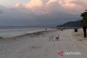 Menikmati indahnya matahari terbenam di Pantai Boneoge
