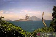 Badan Geologi naikkan status vulkanik Gunung Anak Krakatau jadi Siaga