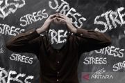 Pemicu burnout pekerja muda akibat tekanan karir dan media sosial