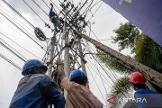 Pemeliharaan jaringan kelistrikan di Palu