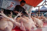 Kenaikan temporer harga daging ayam dan sapi