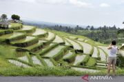 Minister backs Bali's move to curb productive land conversion