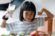 Ahli gizi: susu tak boleh diposisikan pengganti makan utama anak