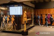 Situs Warisan Dunia Cradle of Humankind suguhkan berbagai koleksi fosil nenek moyang manusia