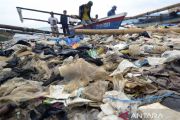 Sampah plastik cemari pantai Bandarlampung