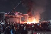 Tips menonton festival musik agar tetap sehat dan aman menurut pakar