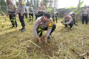Aksi tanam pohon HUT Bhayangkara
