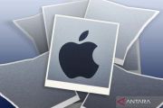 Wamenperin: Pembahasan investasi Apple dibidik rampung akhir tahun