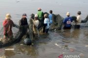 Menjaring ikan bercampur sampah di Bandar Lampung