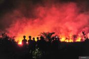 Land fire in Muaro Jambi