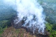 Karhutla mengancam, Pemerintah andalkan modifikasi cuaca di Kalimantan