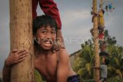 Lomba panjat pinang semarak HUT RI di Lombok Tengah