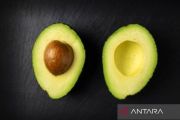Kemarin, konsumsi alpukat hingga tujuan aturan baru kartu seluler