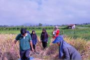 OJK: Laba asuransi umum dan reasuransi Rp4,22 triliun per Maret 2026