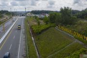 Tol Pekanbaru Dumai miliki lima terowongan khusus gajah