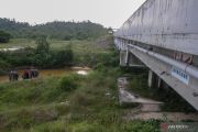 Tol Pekanbaru Dumai miliki lima terowongan khusus gajah