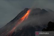 Gunung Mayon di Filipina menunjukkan aktivitas tinggi, status siaga 3