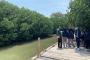 Remembering Aceh tsunami: Conserving mangroves to prevent tragedies