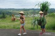 Jatiluwih Village the driving force of Bali tourism
