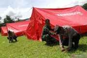 Gempa bumi Kemensos dirikan tenda di Kolaka Timur