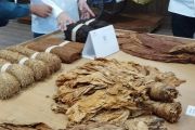 DPR minta aturan nikotin tetap jaga sektor tembakau nasional