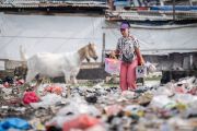 Indonesia, WWF team up to tackle biodiversity loss, waste
