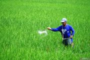 Indonesian researcher develops eco-friendly fertilizer method