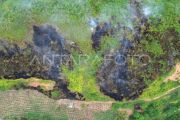 Kebakaran hutan dan lahan di Limapuluhkota