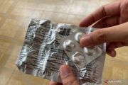 Virus penjaga kehidupan, terapi fag di tengah resistensi antibiotik