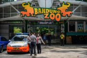 YMT patuhi opsi Pemkot Bandung cabut izin pengelolaan Bandung Zoo
