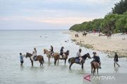 Horse riding tour in Gili Trawangan