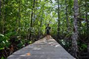 Potensi wisata mangrove Pulau Siberut Mentawai