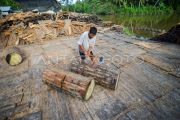 Pemanfaatan sagu di Kepulauan Mentawai