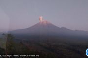 Mt Semeru erupts four times, ash reaches 900 meters
