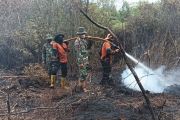 BPBD Muara Enim sebut karhutla di Sungai Rotan capai 10 hektare