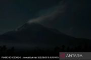 Gunung Lewotobi Laki-laki tiga kali erupsi pada 8-9 Agustus 2025