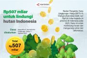 Rp507 miliar untuk lindungi hutan Indonesia