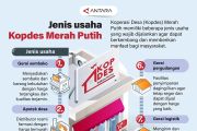 Jenis usaha Kopdes Merah Putih