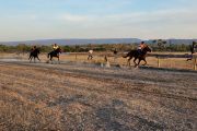 Pacuan Kuda Kupang jadi agenda tetap Pemkab