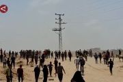 Gaza alami krisis pangan, korban jiwa terus meningkat