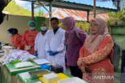 Virus hanta dapat dicegah efektif melalui pengendalian populasi tikus