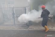 Vaksin dengue, ikhtiar baru lindungi anak-anak dari ancaman DBD