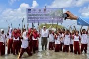 Dishut Kalsel eksekusi PKS Freeport tanam 429.000 mangrove di Kotabaru