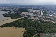 Ministry confirms forestry investment opportunities for carbon trading