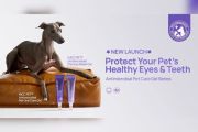HICC Pet® Luncurkan Gel Perawatan Mulut dan Mata: Rutinitas Harian yang Buat Hewan Peliharaan jadi Lebih Sehat dan Bahagia