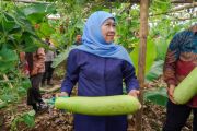 Khofifah apresiasi SMAN 1 Dampit jadi role model ketahanan pangan
